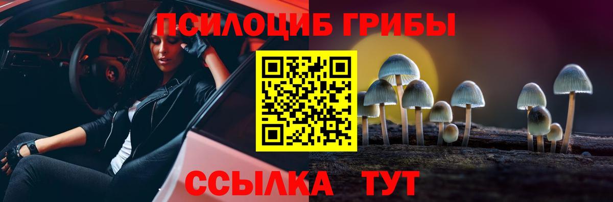 Псилоцибиновые грибы Cubensis Обнинск