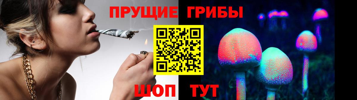 Галлюциногенные грибы MAGIC MUSHROOMS  Вход с VPN  Обнинск 